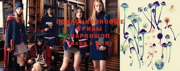 мяу мяу мука Ладушкин