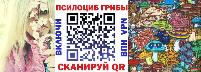 Галлюциногенные грибы Psilocybe  сайты даркнета какой сайт  Анапа  где найти наркотики 
