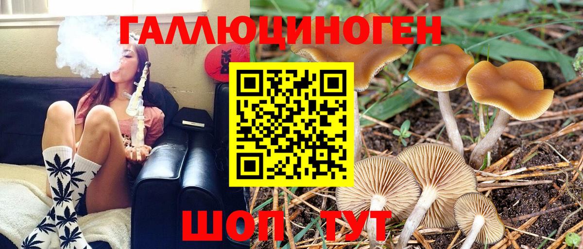 Галлюциногенные грибы Psilocybe  купить наркотики цена  Анапа 